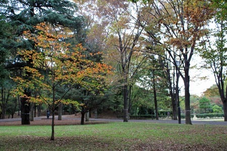府中の森公園.jpg
