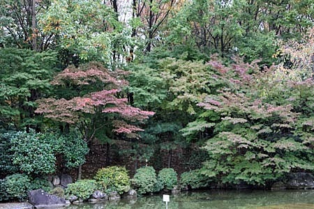 府中の森公園２.jpg