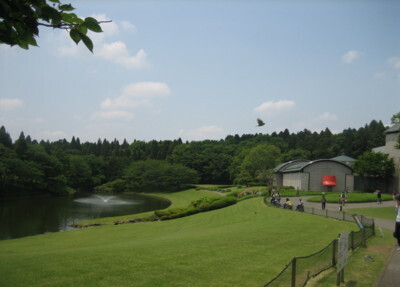 kawamura1.JPG