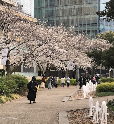 Hills2023Hanami5.jpg