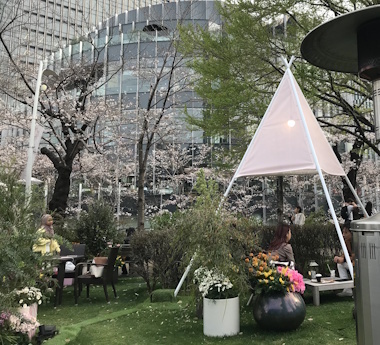 Hills2025Hanami4.jpg