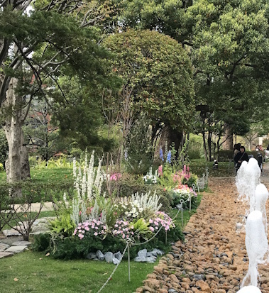Hills2025Hanami9.jpg